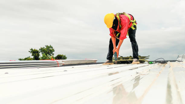 Best Roof Moss and Algae Removal  in Malmstrom Af, MT