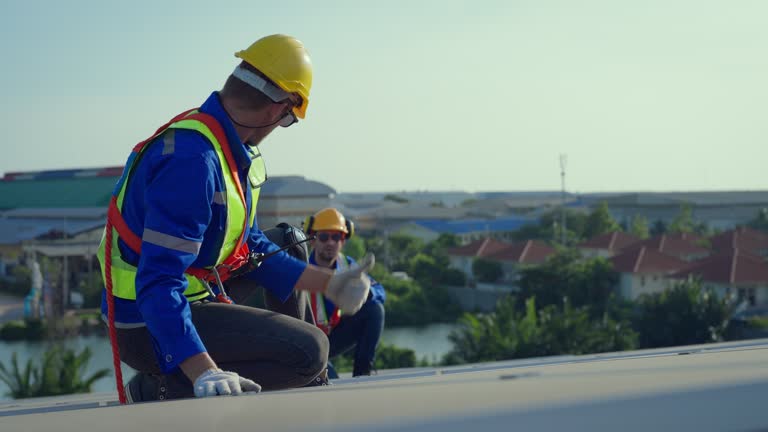 Best Sheet Metal Roofing  in Malmstrom Af, MT