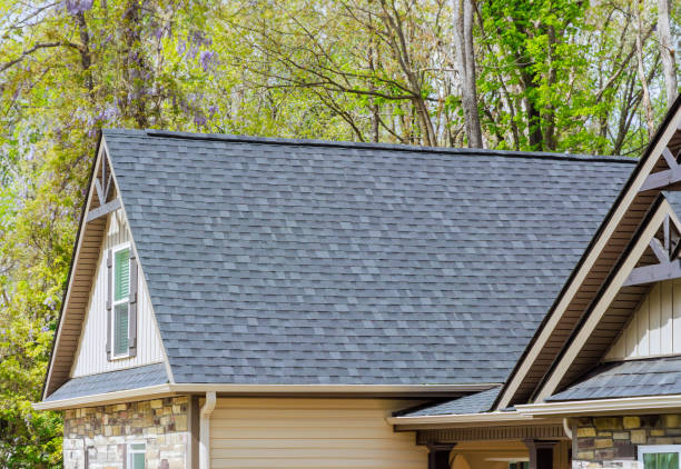 Best Skylight Installation and Repair  in Malmstrom Af, MT