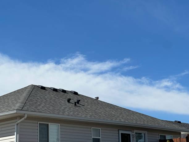 Best Roof Coating and Sealing  in Malmstrom Af, MT