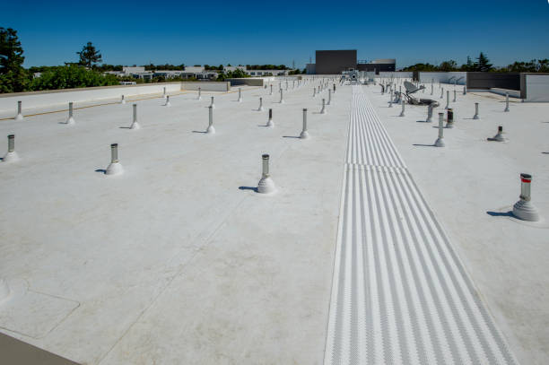 Best Flat Roofing  in Malmstrom Af, MT